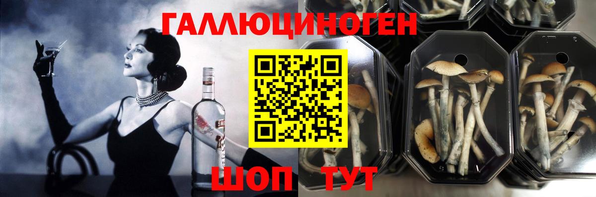 Псилоцибиновые грибы ЛСД  Вход с VPN  Полевской 
